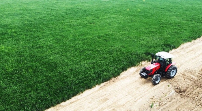 614cf682b7ff45309816b9e496917e68