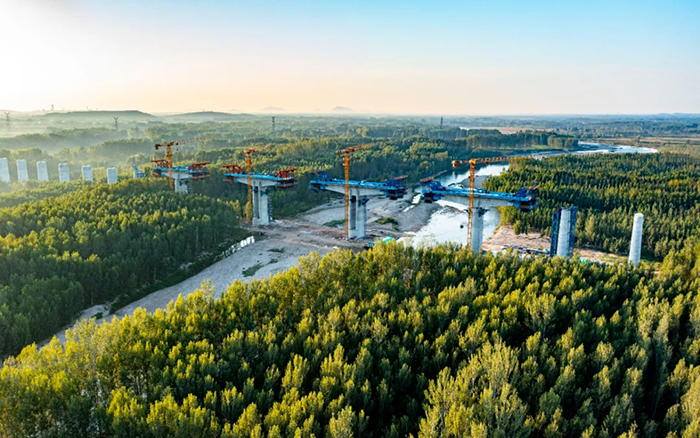 2ed7a62420dd4c97aaec4b74d993d655