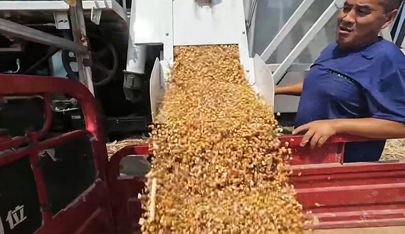 k豆钱包官方网站 - kdpay钱包