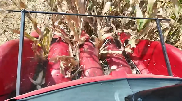 k豆钱包官方网站 - kdpay钱包