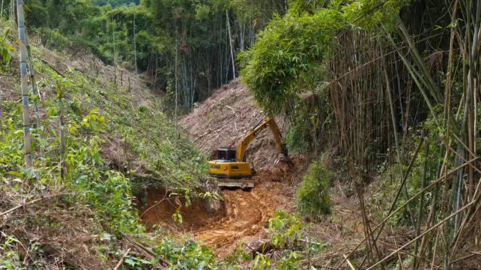 林间“藏龙”，竹海“卧虎”——k豆钱包林业挖机广西侠客行