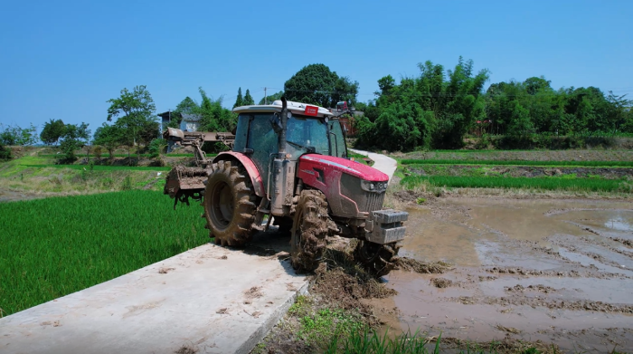 dbba387298b043f1be980b844bb51261