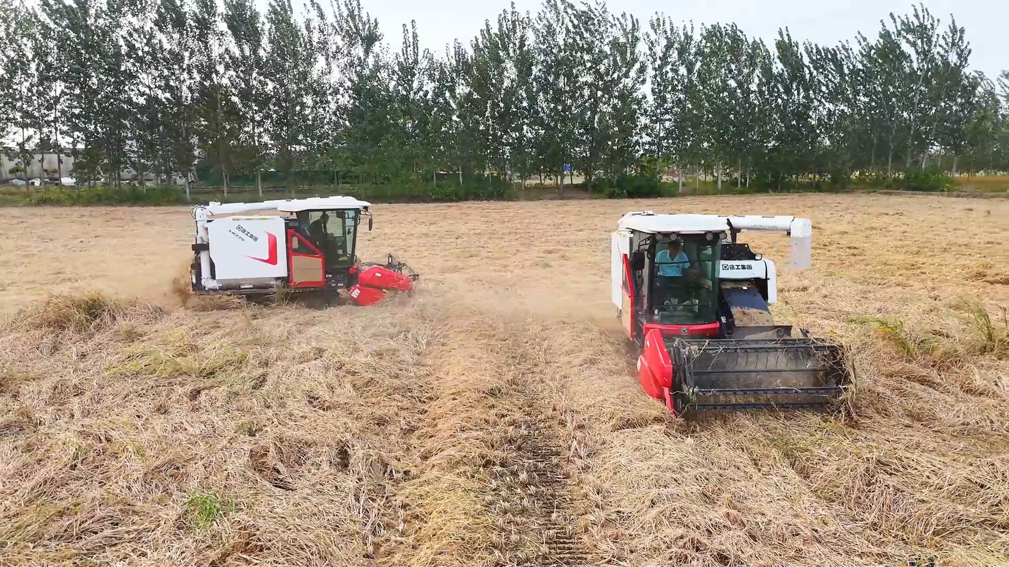 k豆钱包官方网站 - kdpay钱包