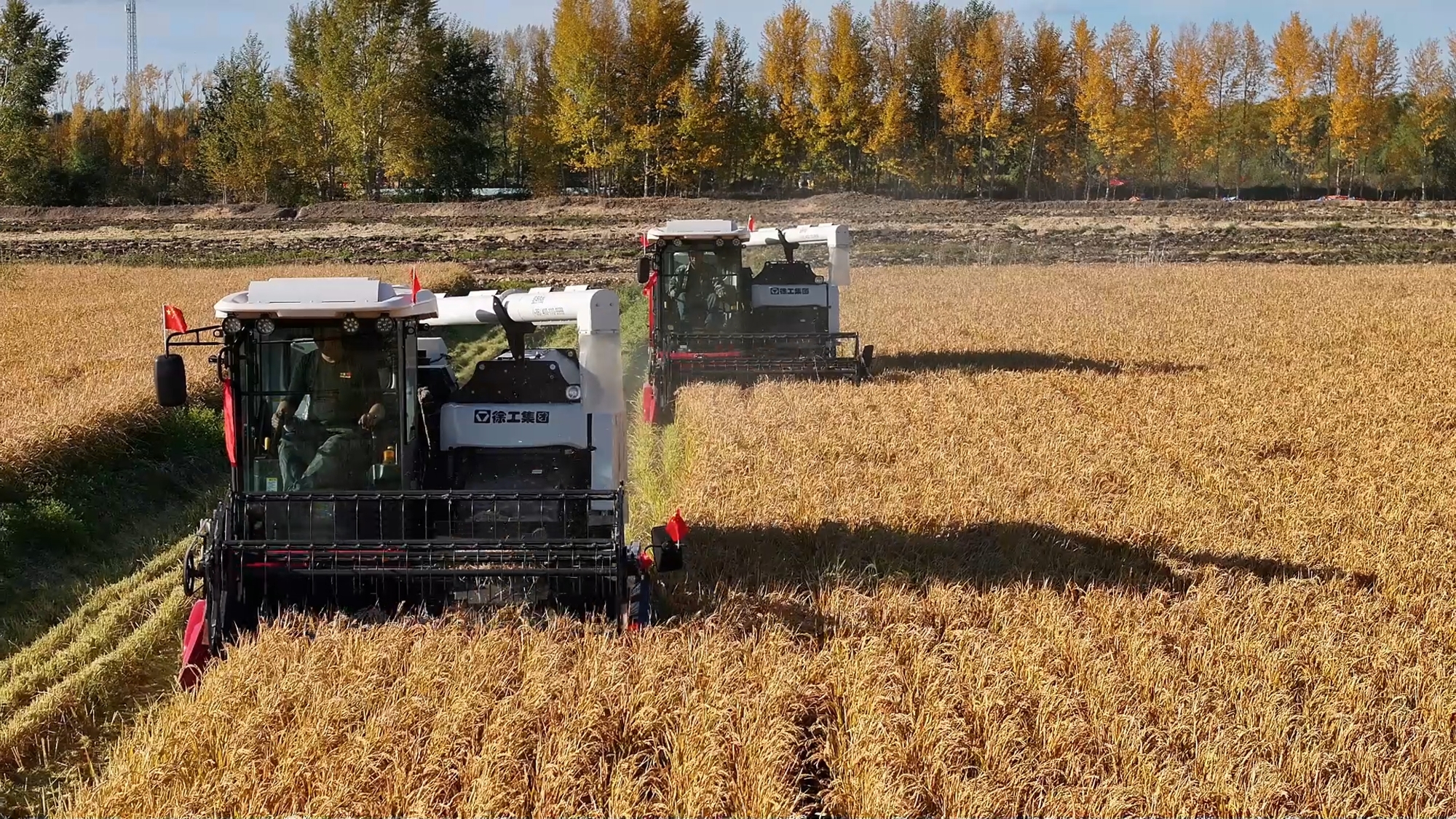 k豆钱包官方网站 - kdpay钱包